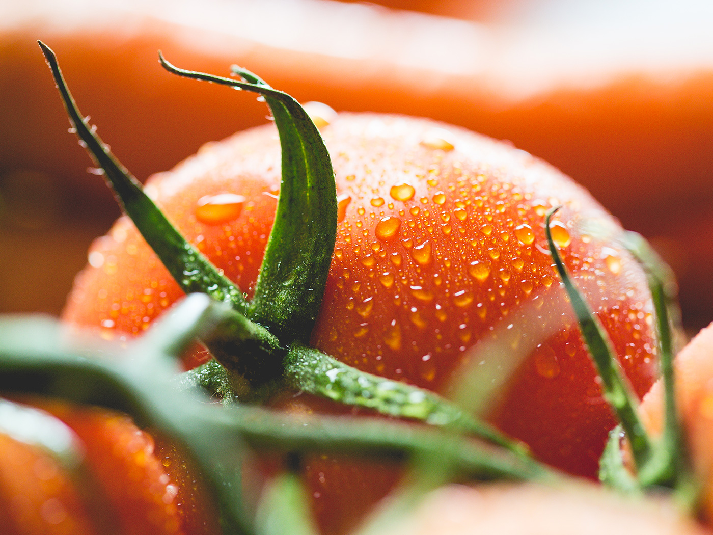 Start Pizzeria fresh tomato